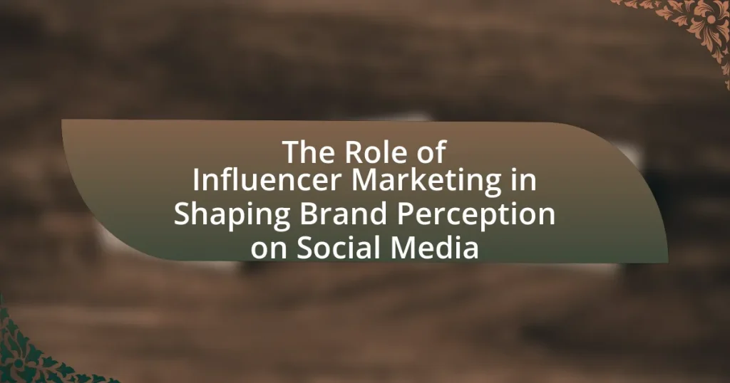 The Role of Influencer Marketing in Shaping Brand Perception on Social Media