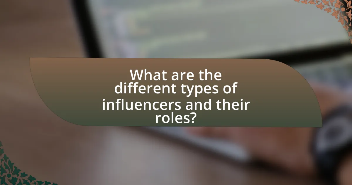 What are the different types of influencers and their roles?