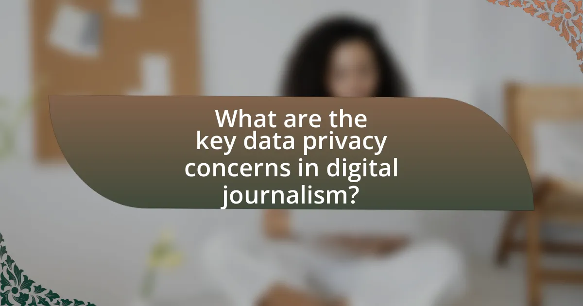 What are the key data privacy concerns in digital journalism?