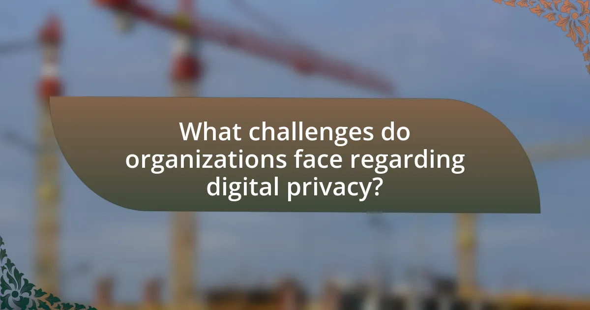 What challenges do organizations face regarding digital privacy?